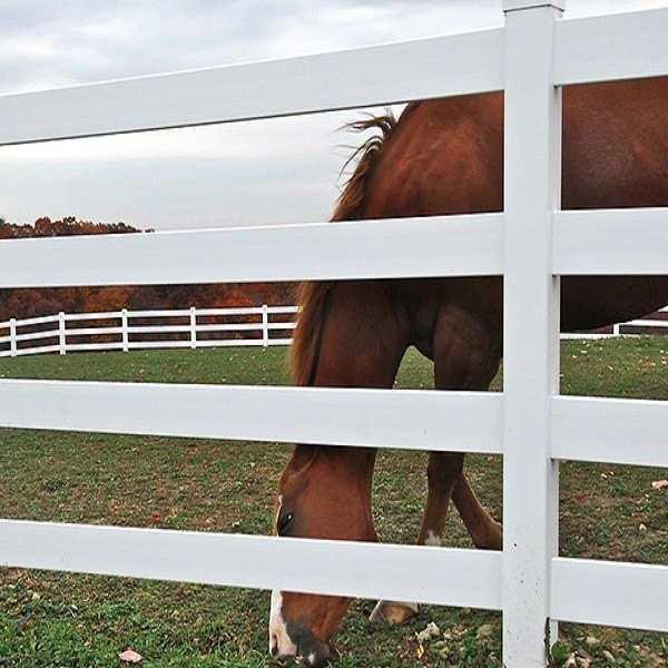 6 4 Rail White PVC Horse 6 4 Rail White PVC Horse